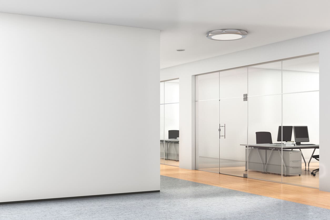 2025-07-30-is-a-cat-a-fit-out-right-for-you