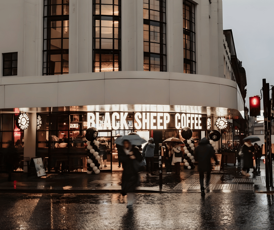 black-sheep-banner-image